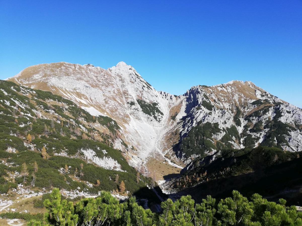 Brunarica Na Goreljeku Bohinj Dış mekan fotoğraf