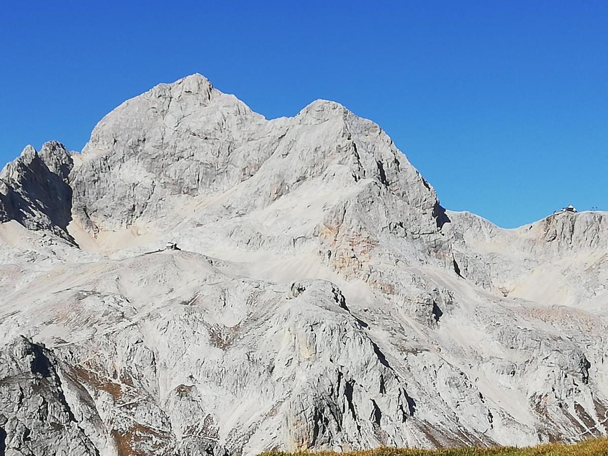 Brunarica Na Goreljeku Bohinj Dış mekan fotoğraf