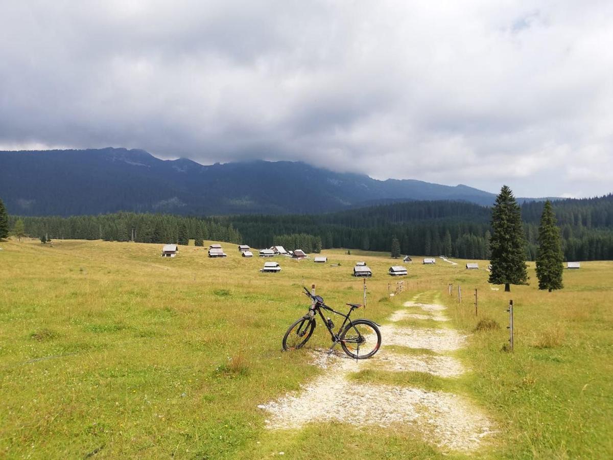 Brunarica Na Goreljeku Bohinj Dış mekan fotoğraf