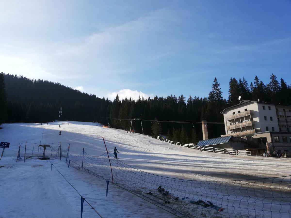 Brunarica Na Goreljeku Bohinj Dış mekan fotoğraf