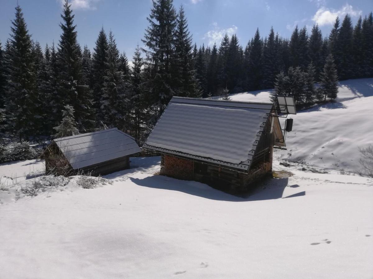 Brunarica Na Goreljeku Bohinj Dış mekan fotoğraf
