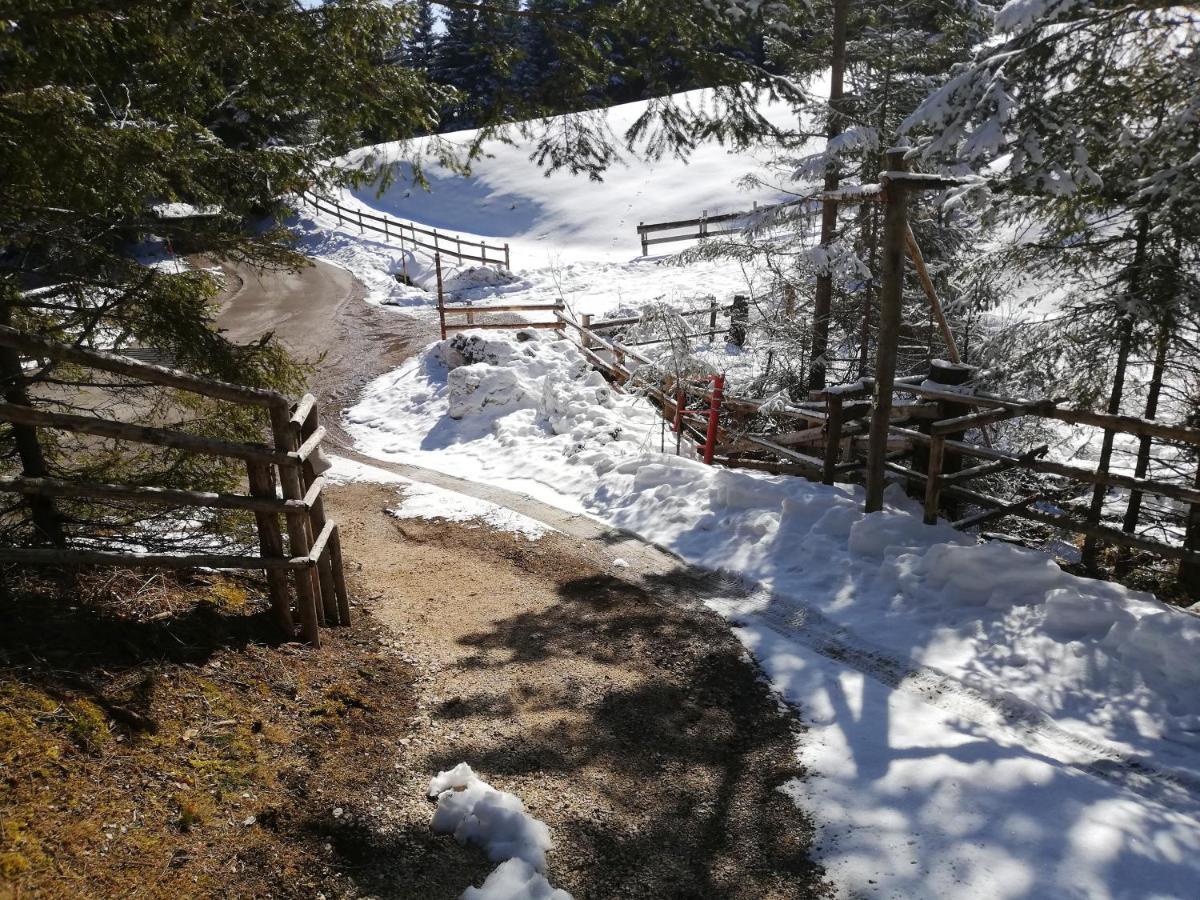 Brunarica Na Goreljeku Bohinj Dış mekan fotoğraf