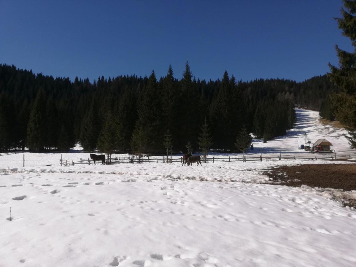 Brunarica Na Goreljeku Bohinj Dış mekan fotoğraf