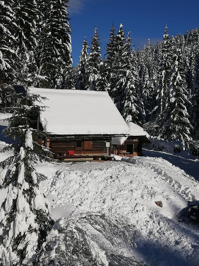 Brunarica Na Goreljeku Bohinj Dış mekan fotoğraf