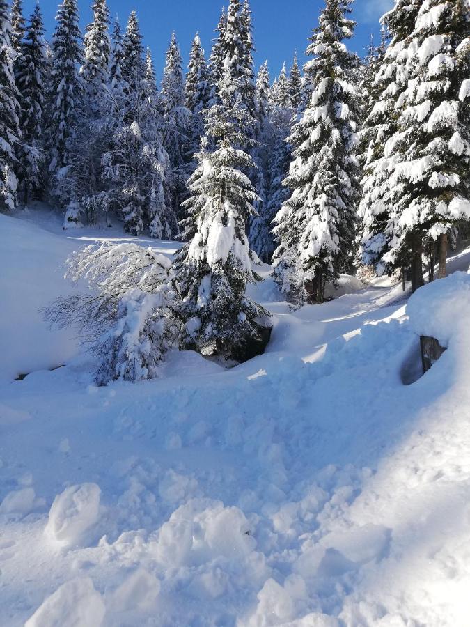 Brunarica Na Goreljeku Bohinj Dış mekan fotoğraf