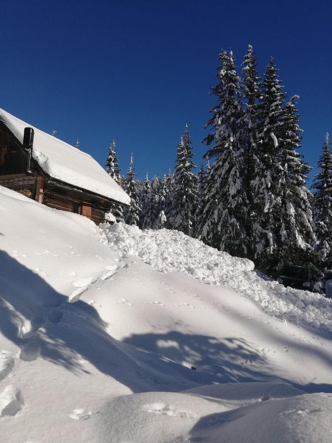 Brunarica Na Goreljeku Bohinj Dış mekan fotoğraf