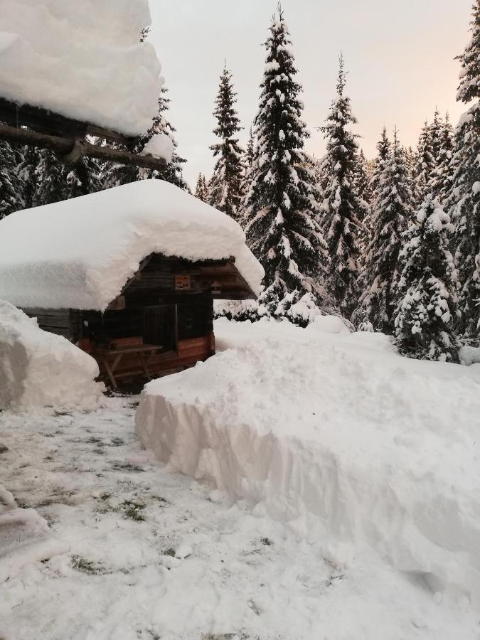 Brunarica Na Goreljeku Bohinj Dış mekan fotoğraf