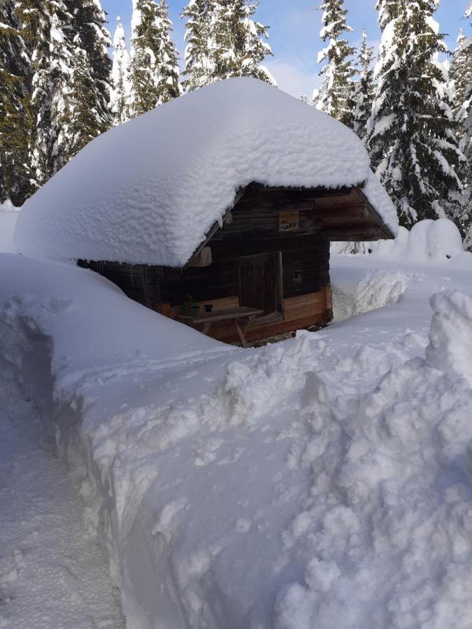 Brunarica Na Goreljeku Bohinj Dış mekan fotoğraf