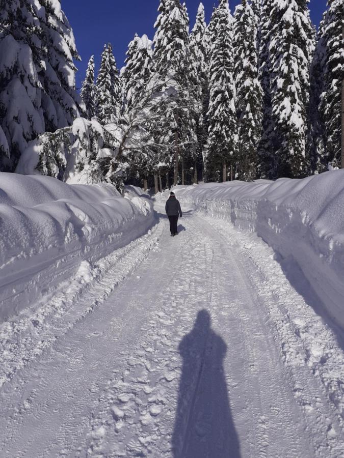 Brunarica Na Goreljeku Bohinj Dış mekan fotoğraf