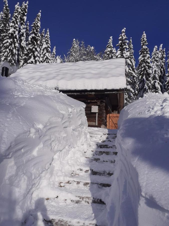 Brunarica Na Goreljeku Bohinj Dış mekan fotoğraf