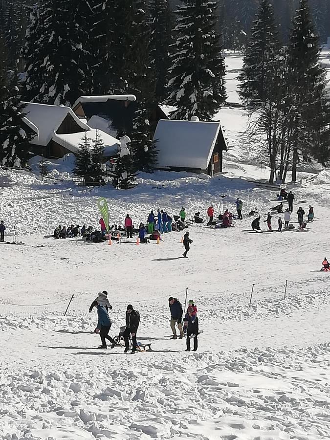 Brunarica Na Goreljeku Bohinj Dış mekan fotoğraf