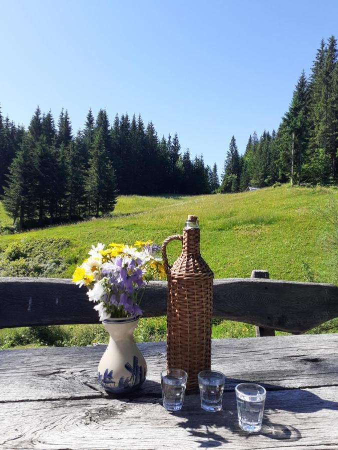 Brunarica Na Goreljeku Bohinj Dış mekan fotoğraf