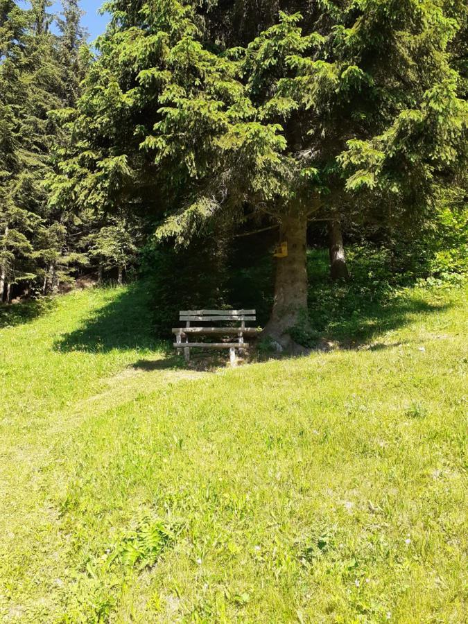 Brunarica Na Goreljeku Bohinj Dış mekan fotoğraf