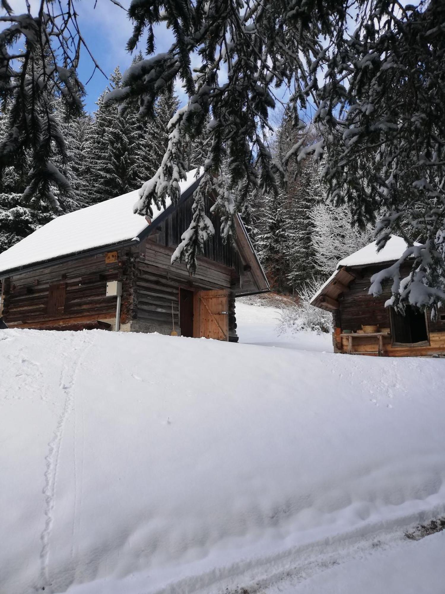 Brunarica Na Goreljeku Bohinj Dış mekan fotoğraf