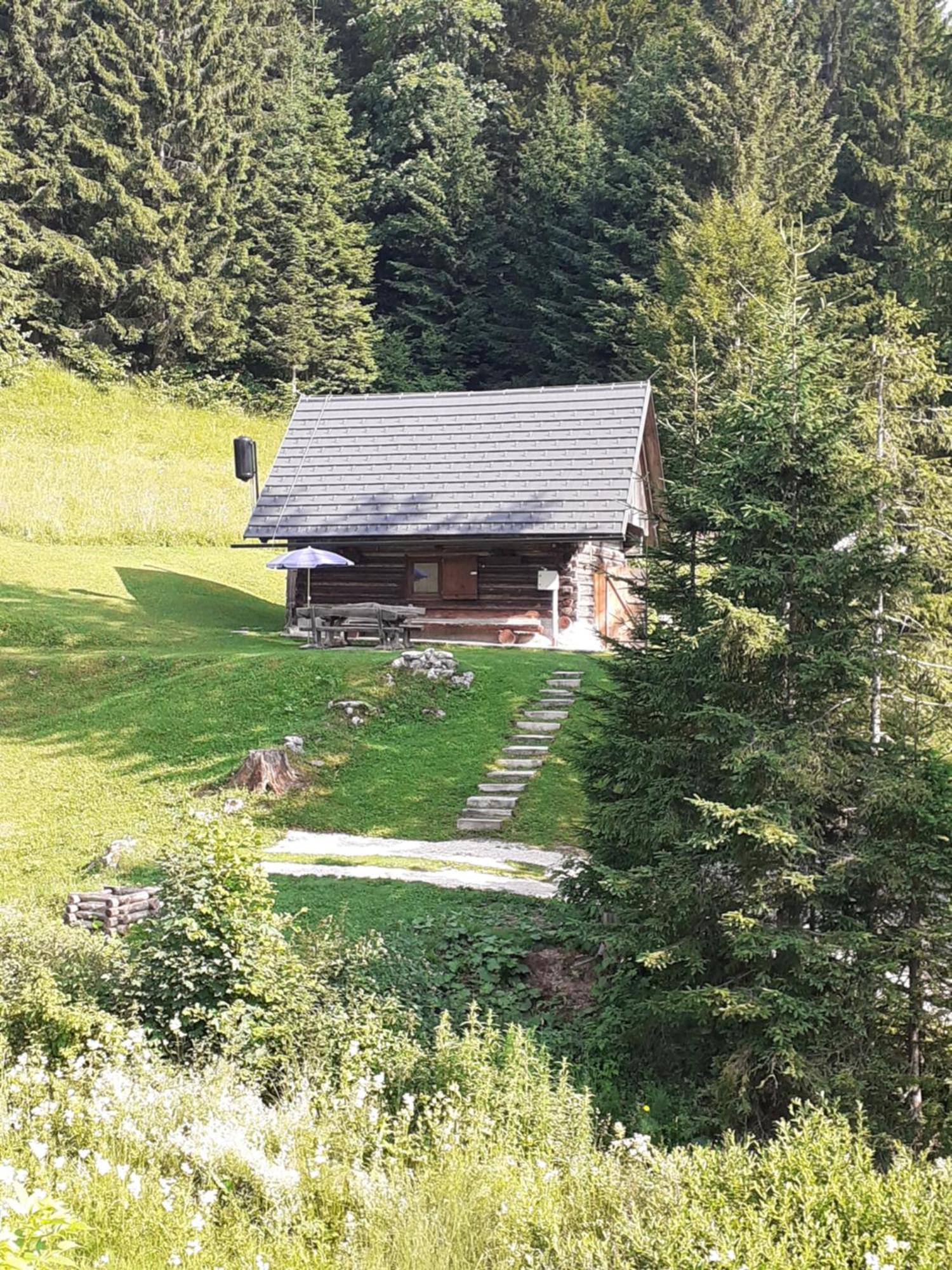 Brunarica Na Goreljeku Bohinj Dış mekan fotoğraf