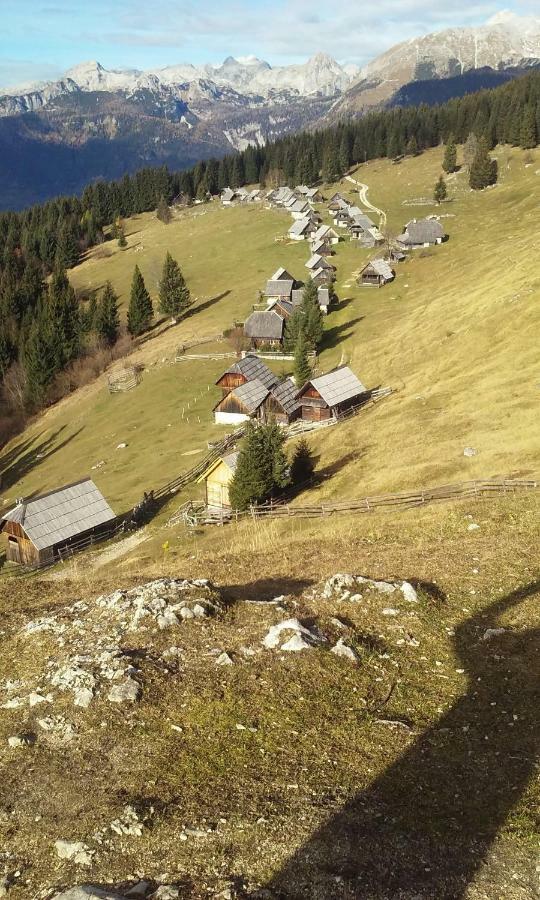 Brunarica Na Goreljeku Bohinj Dış mekan fotoğraf